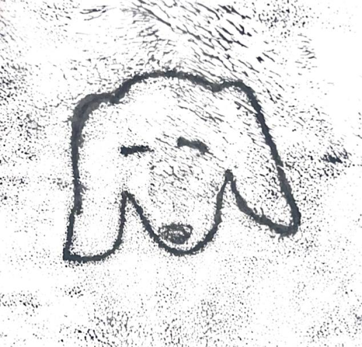 rab9